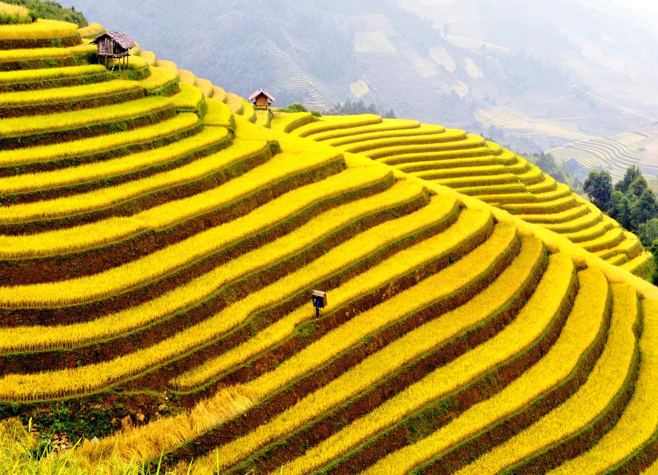 Tour Du Lịch Sapa - Thác Bạc 3 Ngày 2 Đêm (Đi - Về bằng tàu...